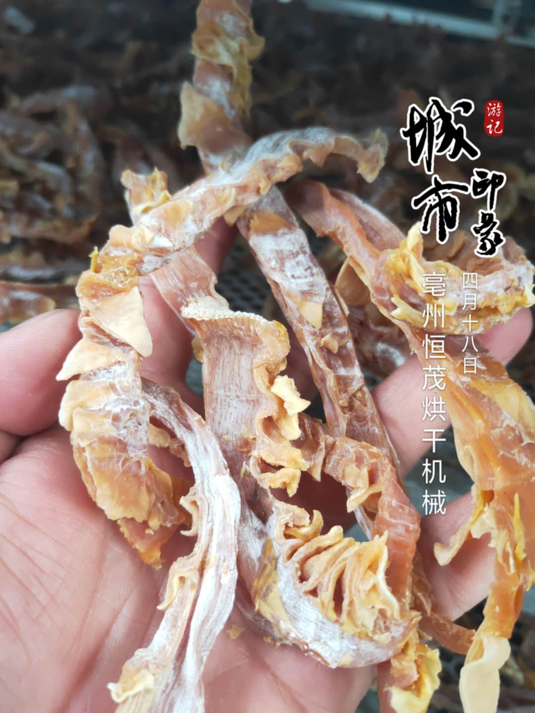 烘干后的笋干