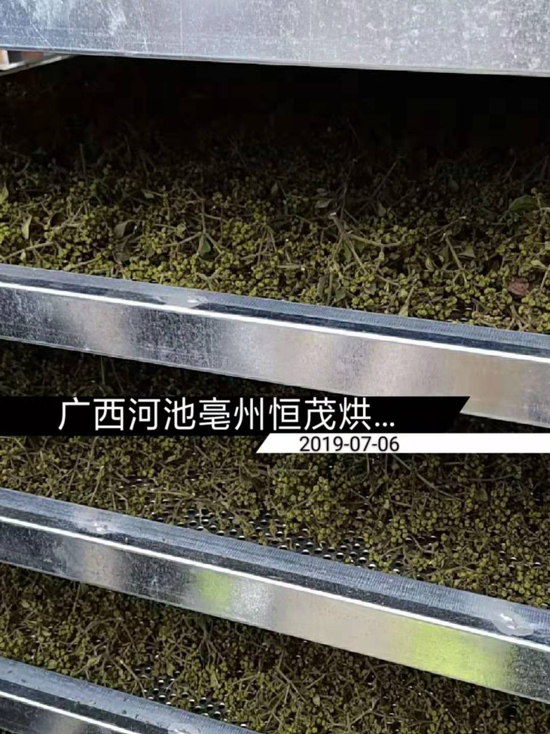 吴茱萸烘干机落户广西河池